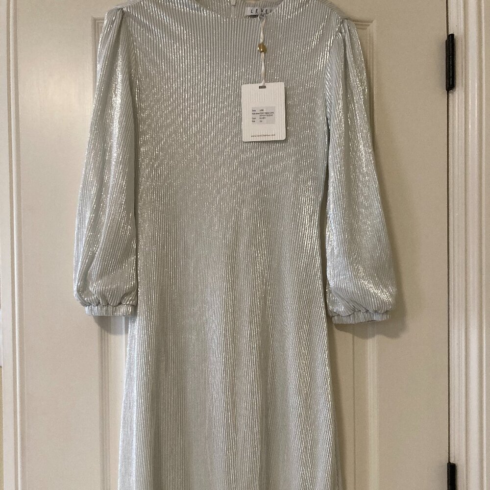Shimmery Pleated Dress